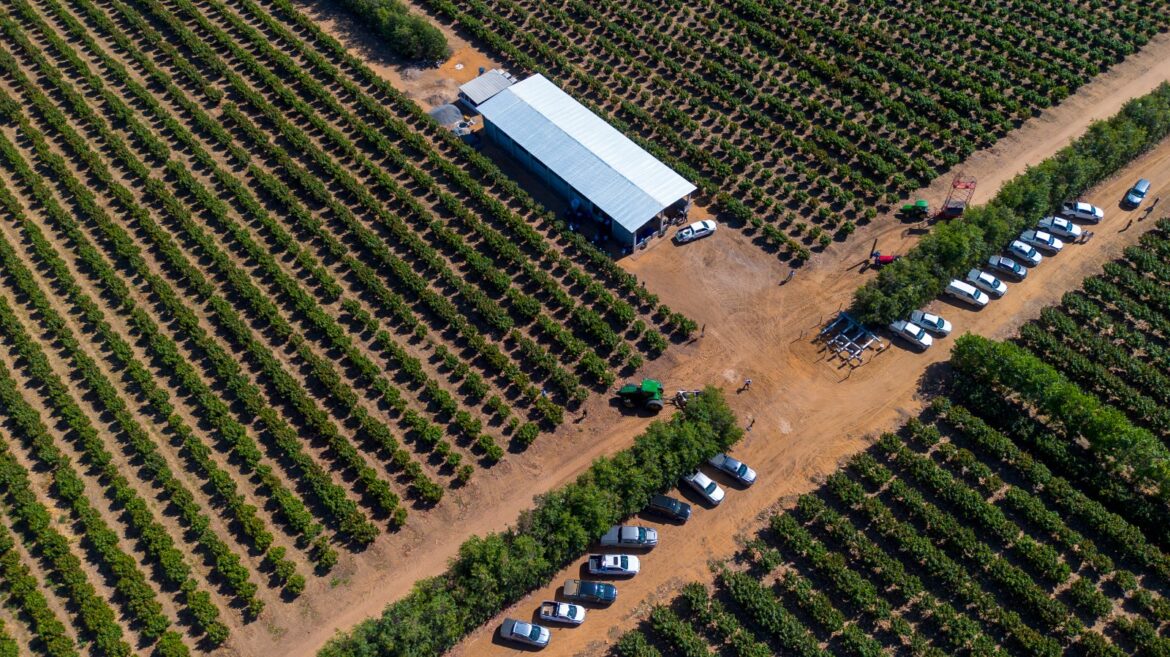Participantes da Barra AgroShow 2026 durante atividades sobre fruticultura irrigada e produção agrícola no Médio São Francisco, em Barra, Bahia.