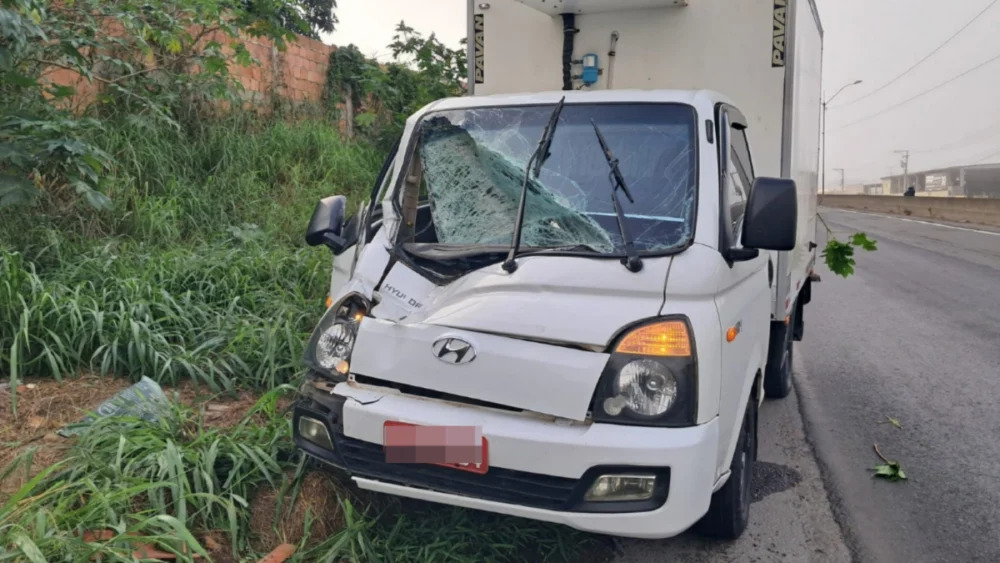 Caminhão que seguia para Irecê e Barreiras tem cabine destruída após atingir cavalo na BR-324